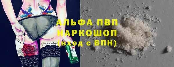 тгк Володарск