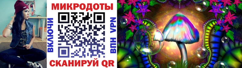 Псилоцибиновые грибы прущие грибы  Городище 